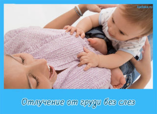 Отлучение от груди без слез