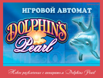 Новое развлечение с аппаратом Dolphins Pearl
