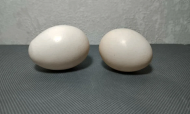 Декор пасхальных яиц без покраски с декупажным мелким узором